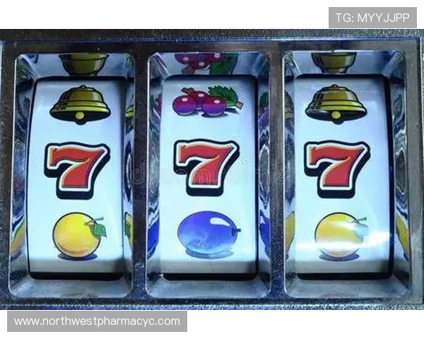 免费下载单机版老虎机游戏，随时随地畅享精彩纷呈的老虎机娱乐体验